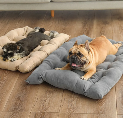 Luna 3-in-1 Pooch Bed