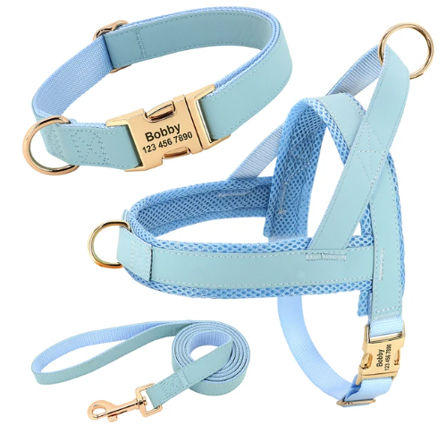 Pooch Personalised Harness Set